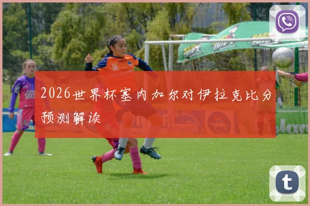2026世界杯塞内加尔对伊拉克比分预测解读