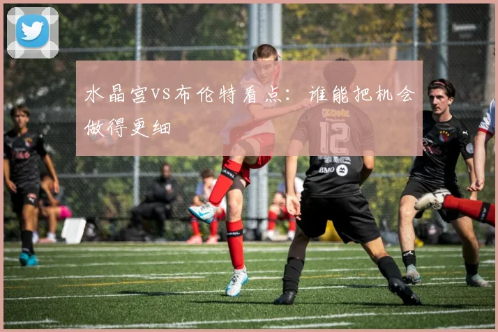 水晶宫vs布伦特看点：谁能把机会做得更细